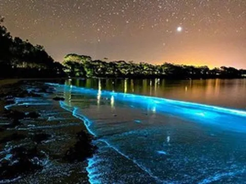 Bãi biển Australia rực sáng về đêm